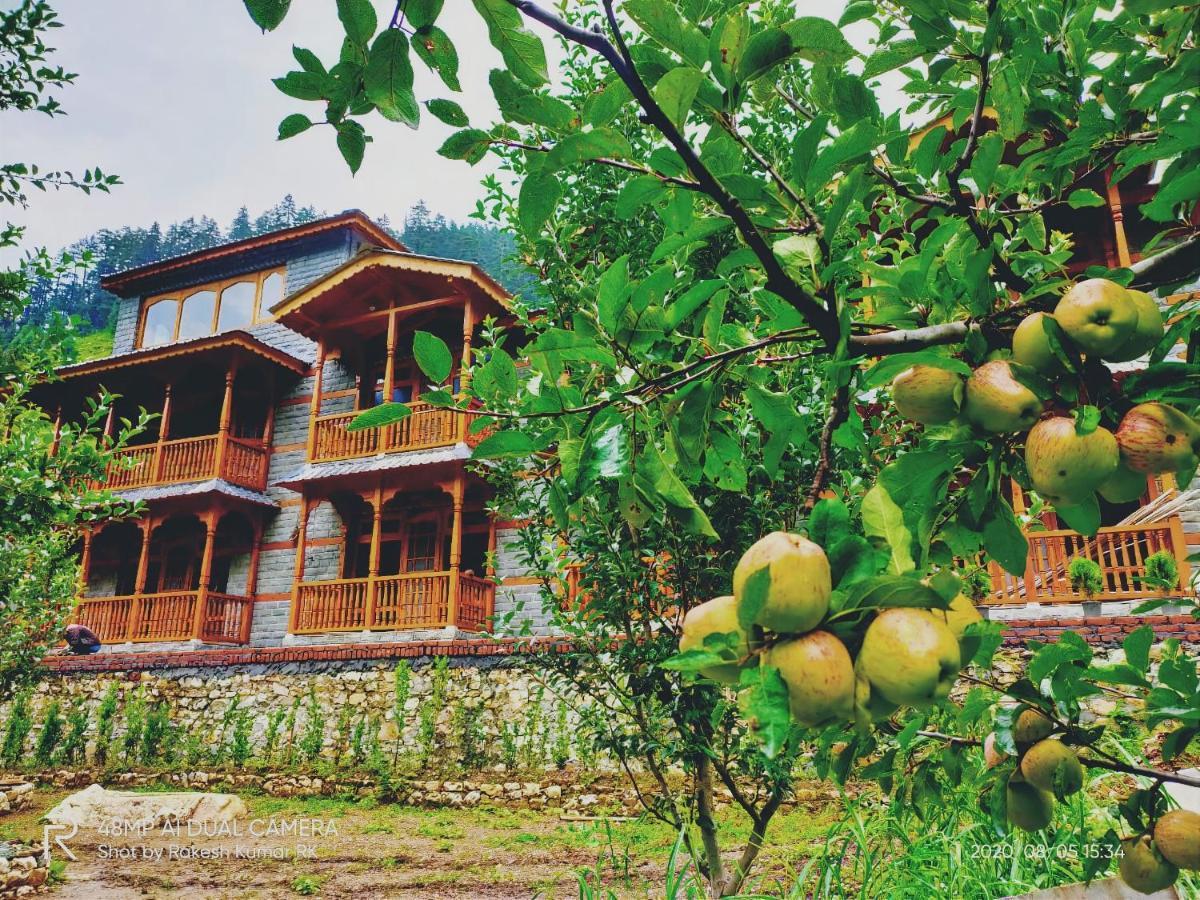 8Fold By Larisa, Jibhi Otel Dış mekan fotoğraf