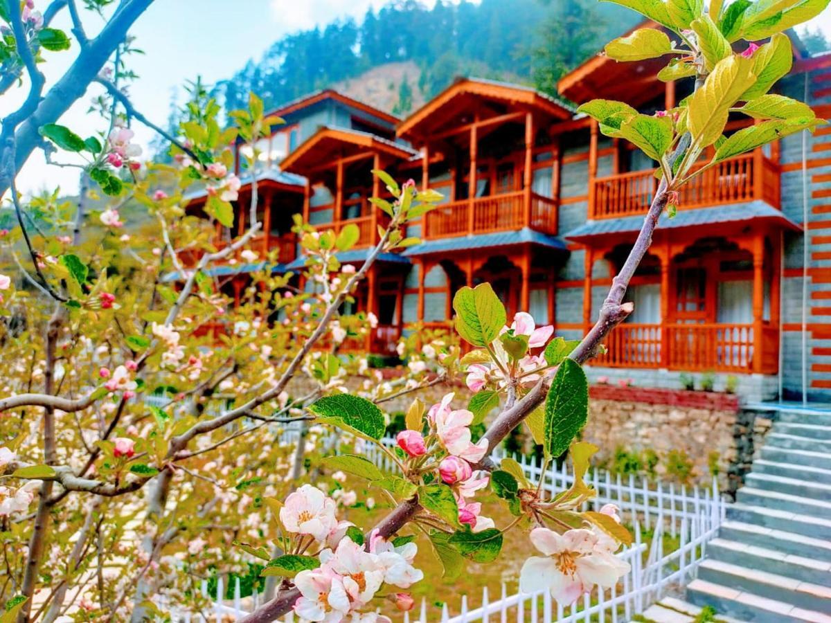 8Fold By Larisa, Jibhi Otel Dış mekan fotoğraf
