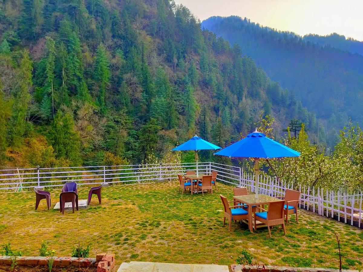 8Fold By Larisa, Jibhi Otel Dış mekan fotoğraf